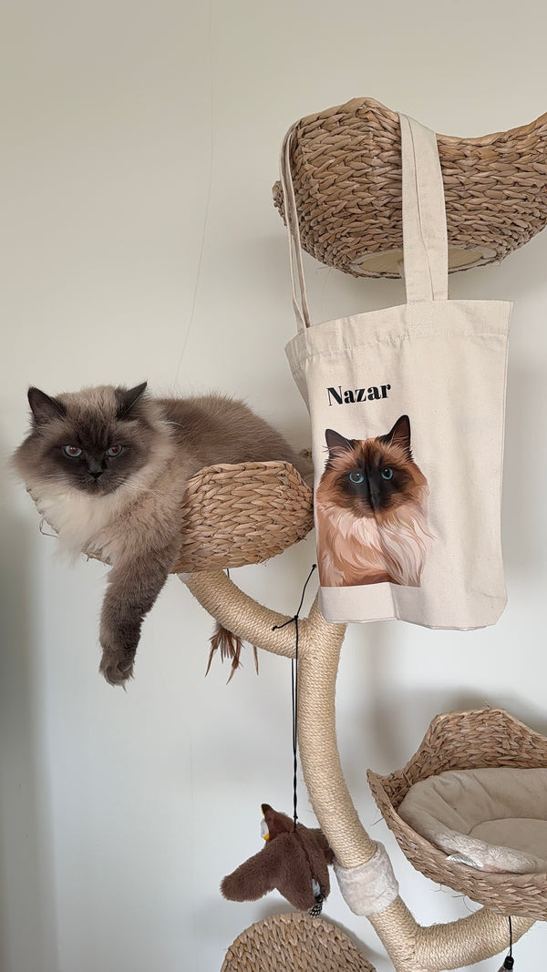 Nazar