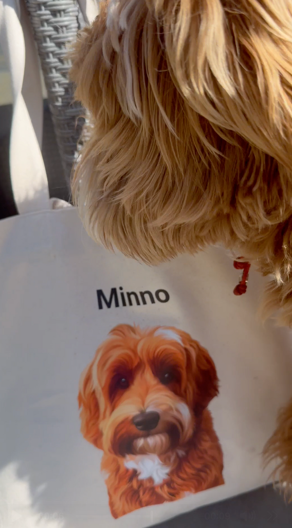 Minno